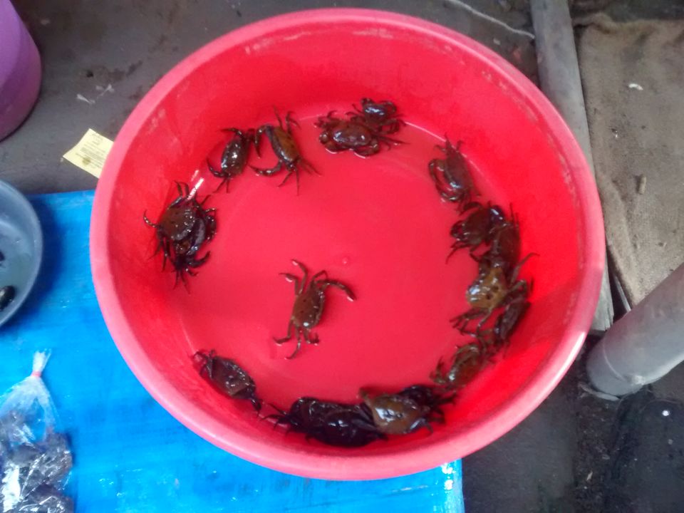 Photo of Exploring the tastes of Dimapur (Nagaland) and the Dog Meat by Eldho Elias