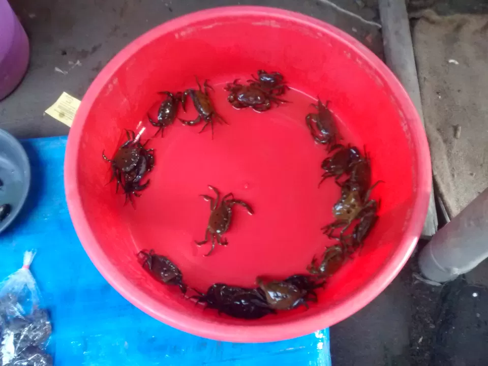 Photo of Exploring the tastes of Dimapur (Nagaland) and the Dog Meat by Eldho Elias