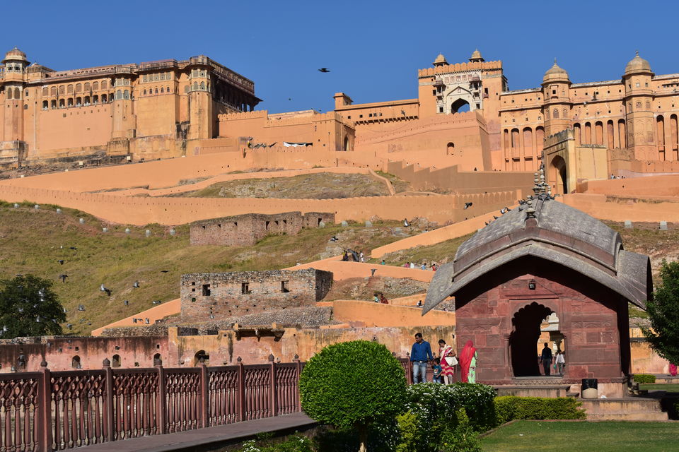 Photo of A Forever Vibrant Jaipur Experience by Eldho Elias