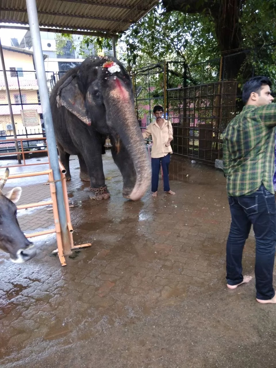 Photo of Souparnika, Kollur, Karnataka, India by Mahesh Chandran Pillai
