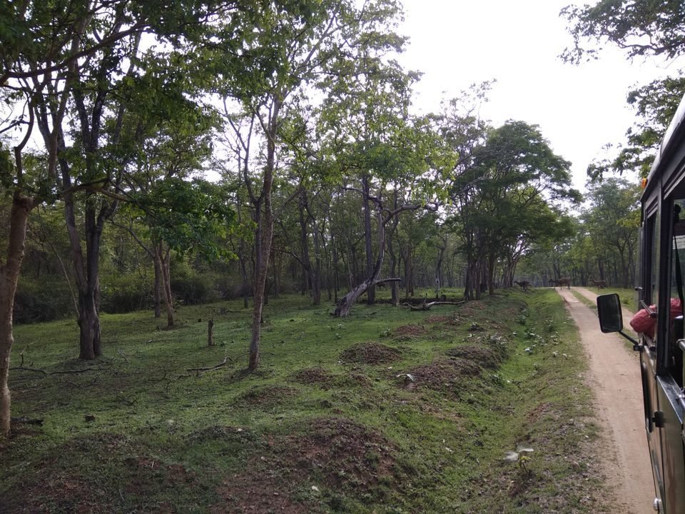 Photo of Antharasanthe, Karnataka, India by Mahesh Chandran Pillai