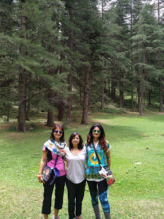 Photo of Koti Kanasar - A hermit's Delight 7/15 by Nidhi Mehta