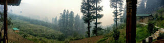 Photo of Koti Kanasar - A hermit's Delight 14/15 by Nidhi Mehta