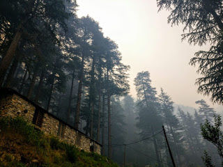Photo of Koti Kanasar - A hermit's Delight 12/15 by Nidhi Mehta