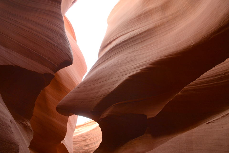 Photo of Lesser known side of 'The Grand Canyon State'... Arizona by Neha