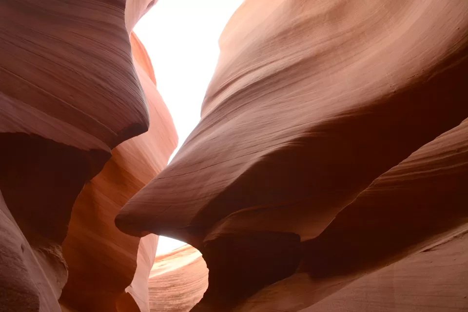 Photo of Lesser known side of 'The Grand Canyon State'... Arizona by Neha