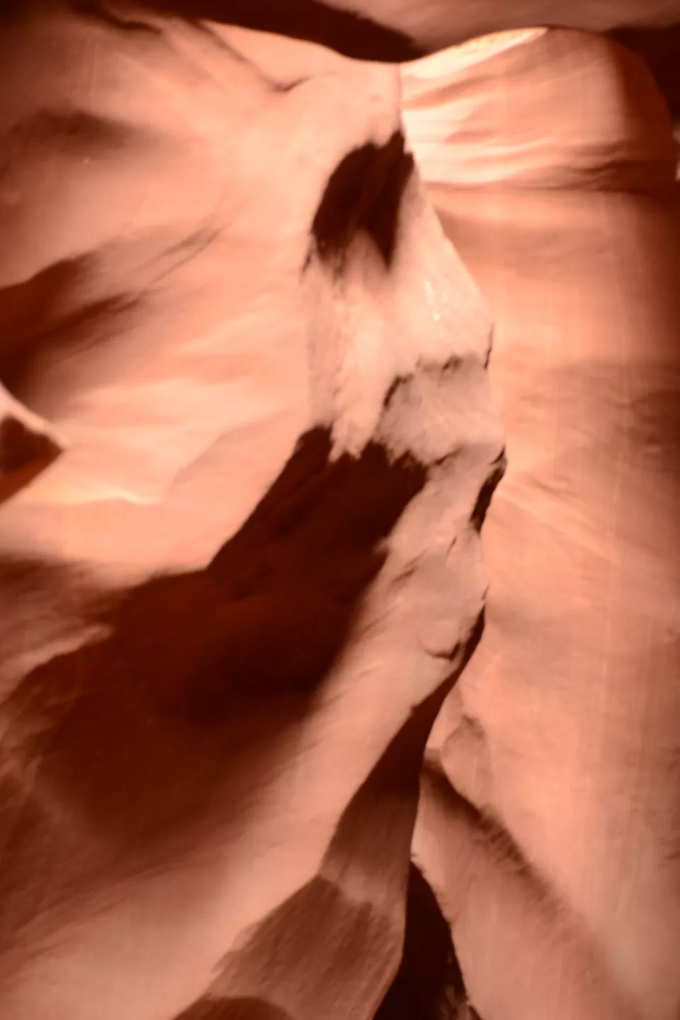 Photo of Lesser known side of 'The Grand Canyon State'... Arizona by Neha