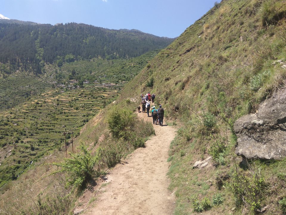 Photo of Dhak, Uttarakhand, India by Nishant