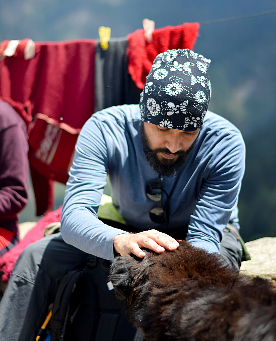 Photo of Soul searching in the mountains (Dhak) by Nishant