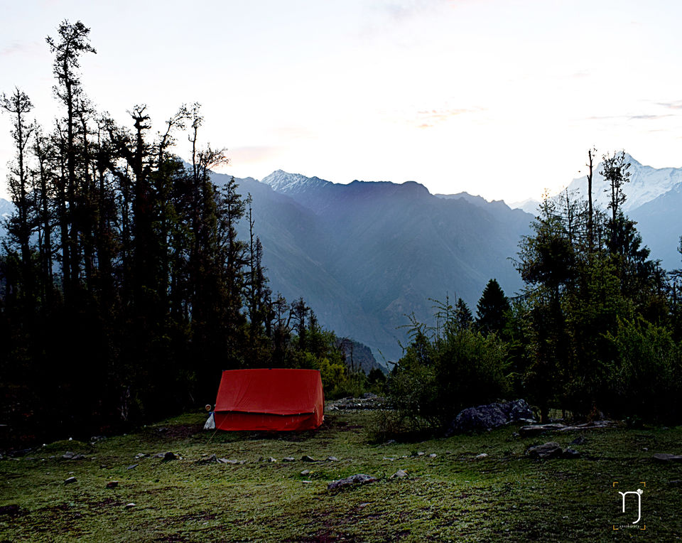 Photo of Soul searching in the mountains (Dhak) by Nishant