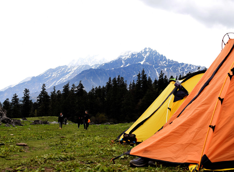 Photo of Meadows of ‘Khullara’ (Day 2) by Nishant