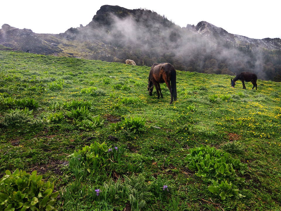 Photo of The Summit (Day 3) – drenched in body not in spirit by Nishant
