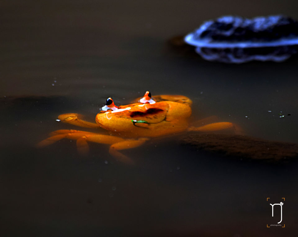 Photo of Rajmachi, Maharashtra, India by Nishant