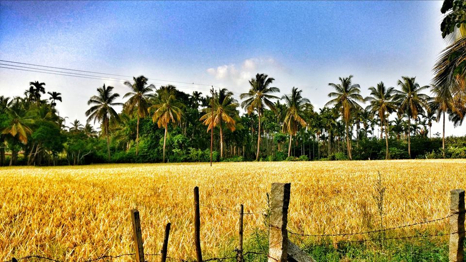 Photo of Mattur (Shimoga):India's last Sanskrit speaking village. Keeping the tradition of Sanskrit Alive! by Mystic Rider