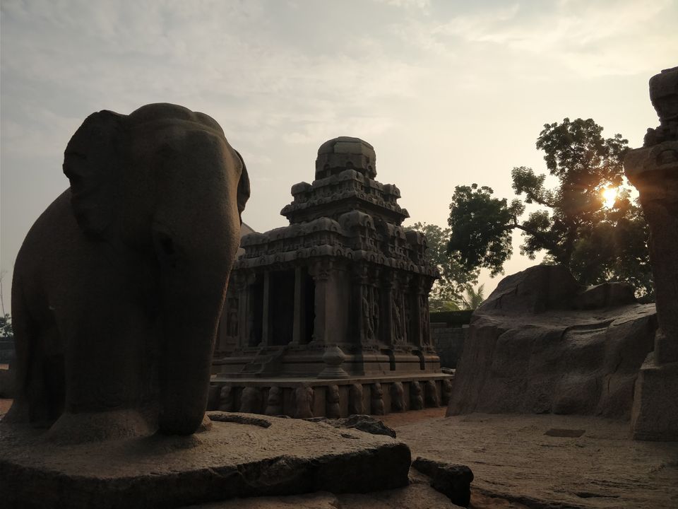 Photo of 3 Day trip To Pondicherry and Pichavaram by Parita