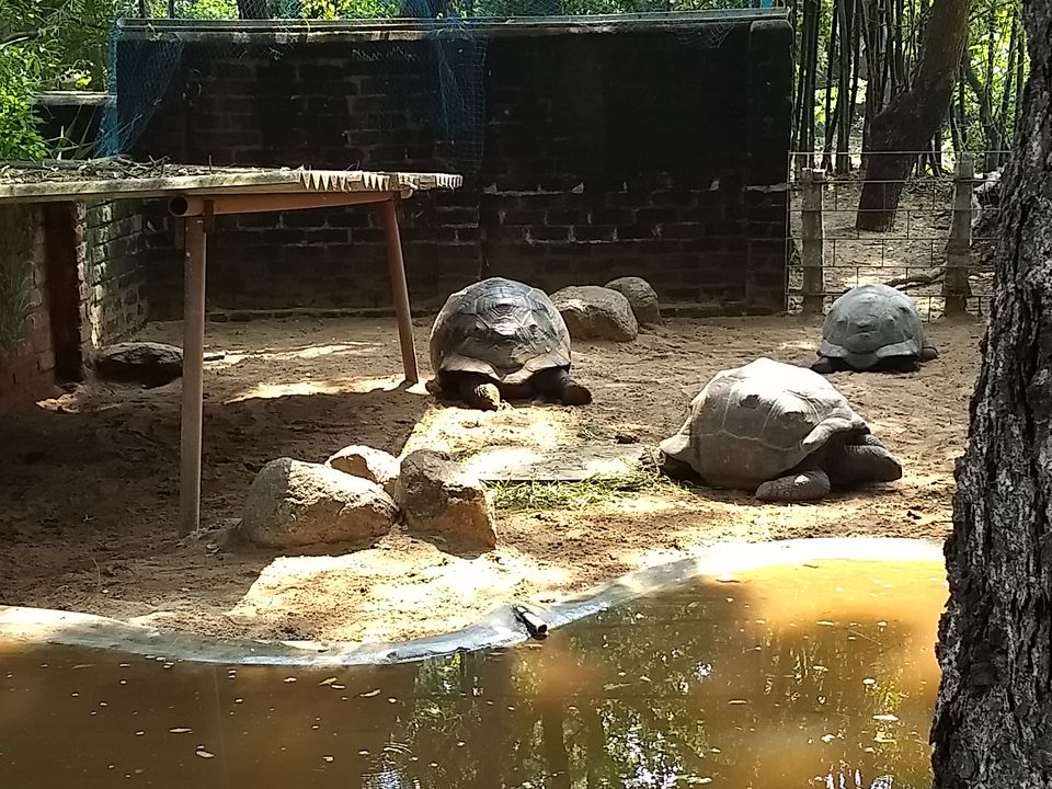 Photo of 3 Day trip To Pondicherry and Pichavaram by Parita