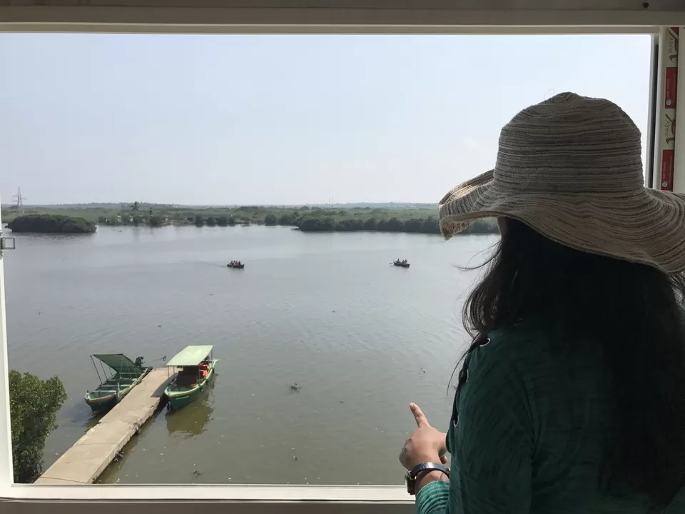 Photo of 3 Day trip To Pondicherry and Pichavaram by Parita