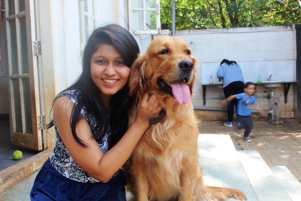 Photo of TherPUP, A Dog Cafe, Bangalore 11/18 by Parita