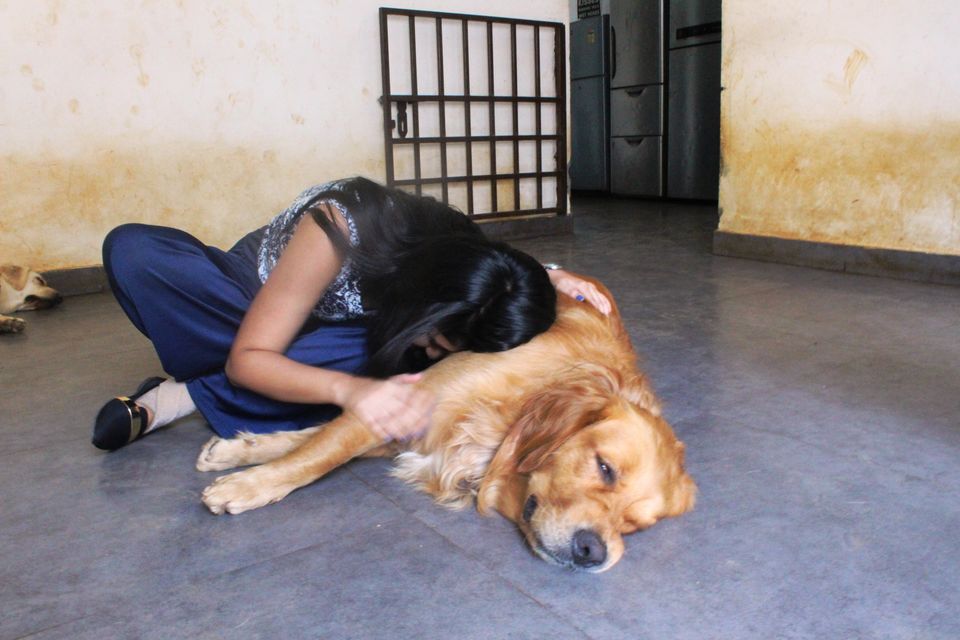 Photo of TherPUP, A Dog Cafe, Bangalore 7/18 by Parita