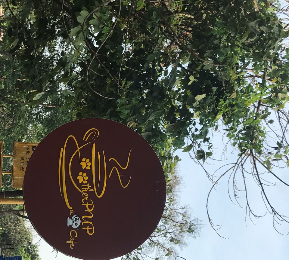 Photo of TherPUP, A Dog Cafe, Bangalore 2/18 by Parita