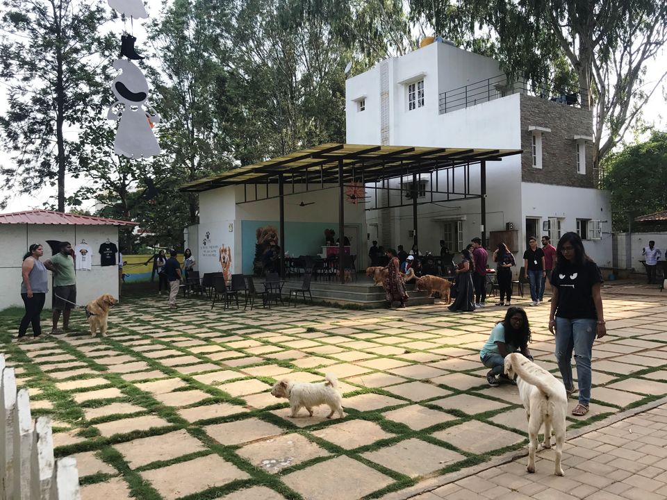 Photo of TherPUP, A Dog Cafe, Bangalore 3/18 by Parita