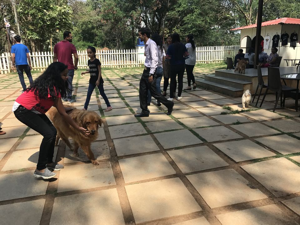 Photo of TherPUP, A Dog Cafe, Bangalore 14/18 by Parita
