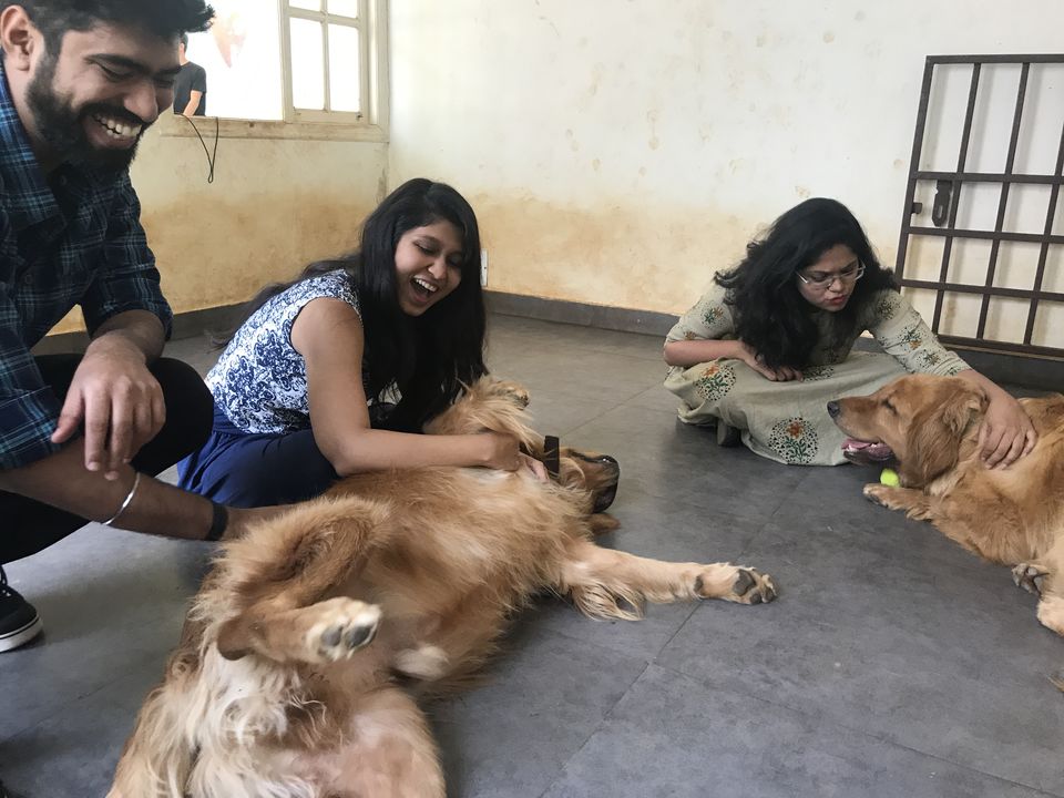 Photo of TherPUP, A Dog Cafe, Bangalore 10/18 by Parita