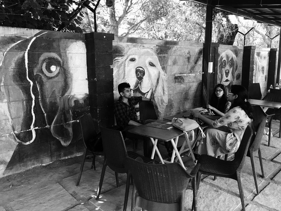 Photo of TherPUP, A Dog Cafe, Bangalore 8/18 by Parita