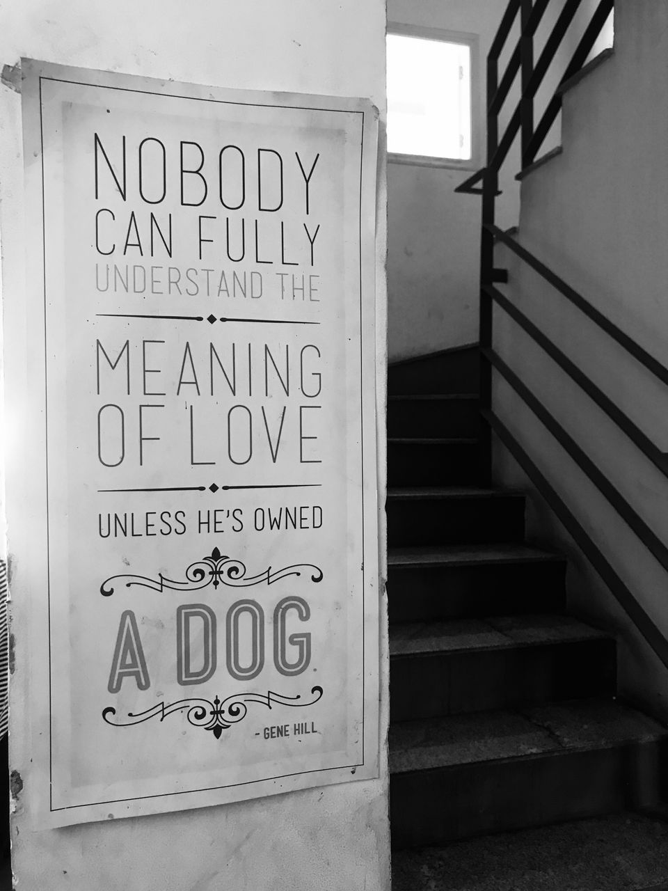 Photo of TherPUP, A Dog Cafe, Bangalore 12/18 by Parita