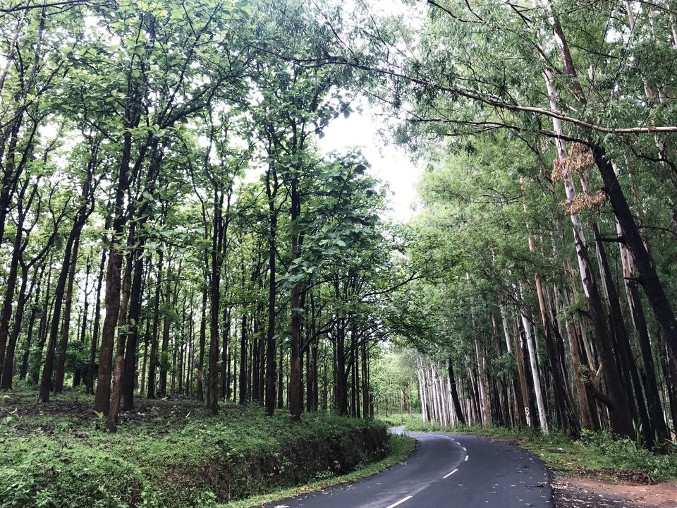 Photo of Kuruvadweep, Kerala by Parita