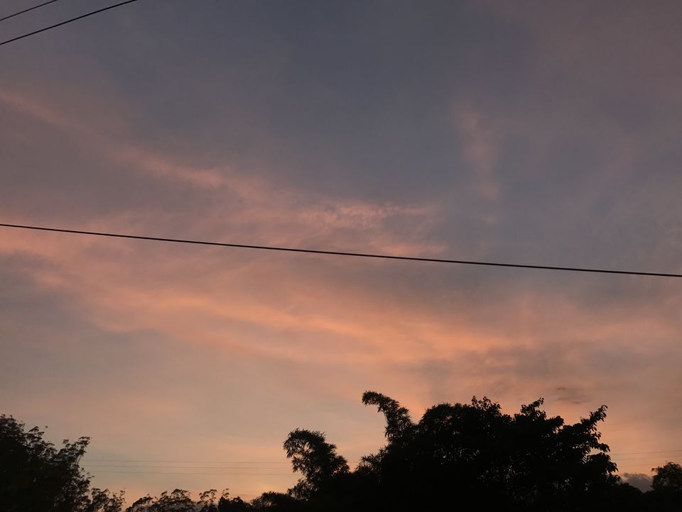 Photo of Wayanad, Kerala, India by Parita