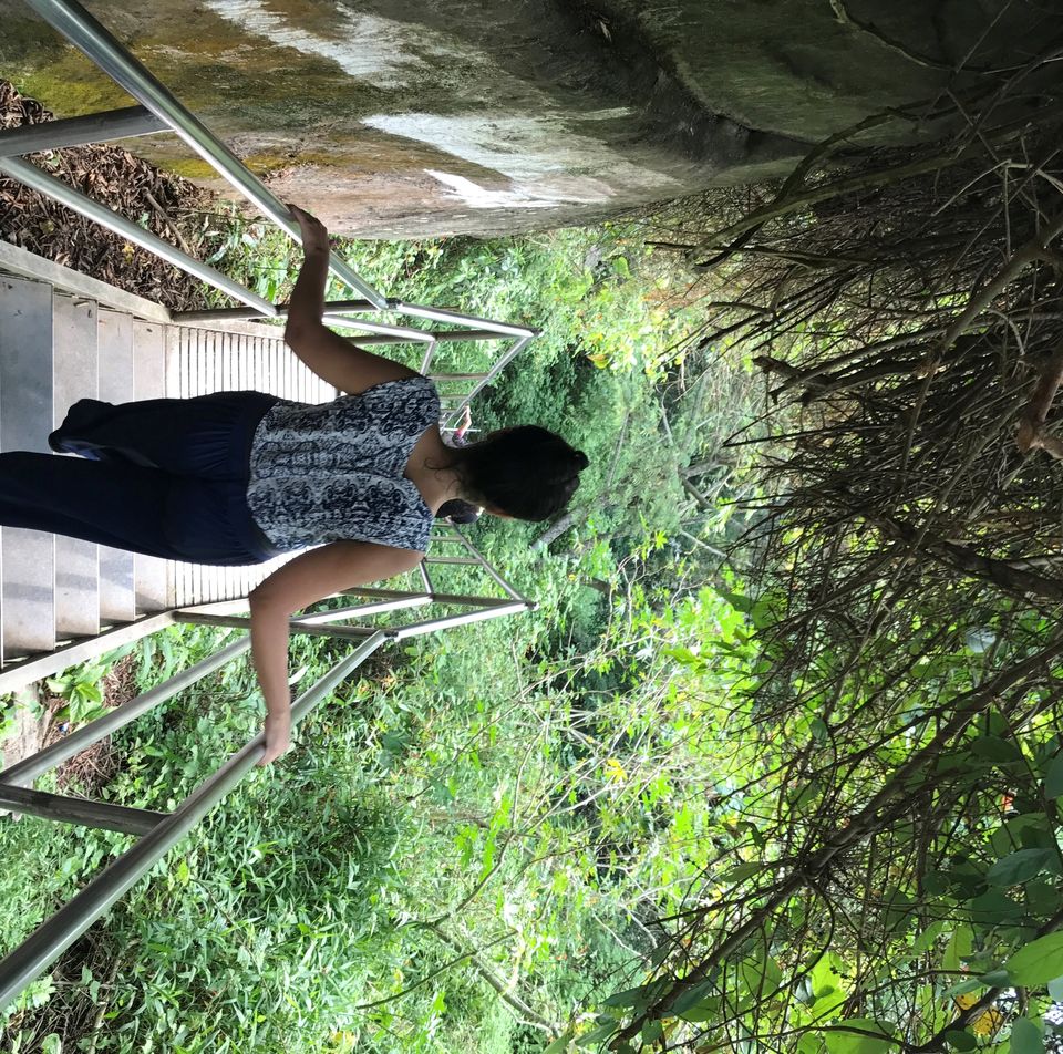 Photo of Wayanad, Kerala, India by Parita