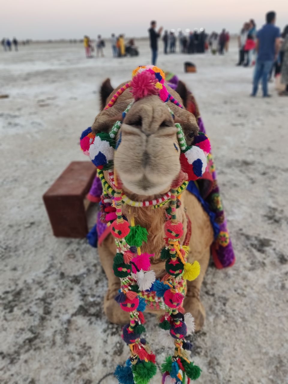 Photo of On a journey to find out if "Kutch nahi dekha toh kuch nahi dekha" is true. 10/30 by Parita