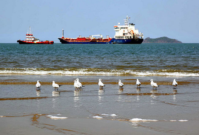 Photo of Solo trip to Goa, Karwar, Murudeshwar, Mumbai 6/9 by Satyakee Sulit Sinha
