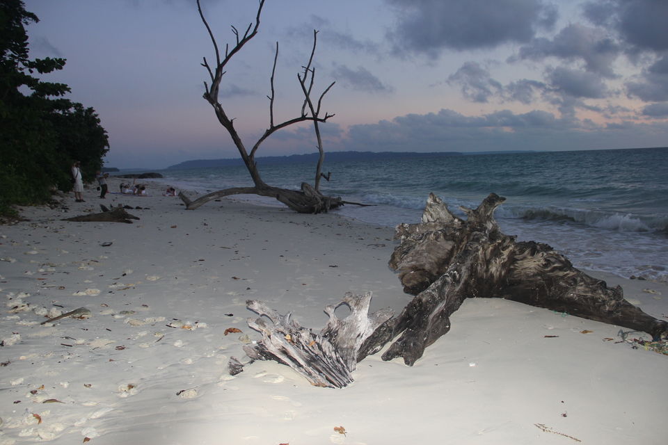 Photo of Andaman Trip- Awesome Tour with Incredible Vacation Experience 4/6 by Exploring Andaman