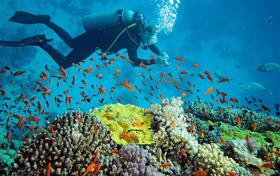 Photo of Havelock Island Tour- The Most Recommended Choice for Vacationers 3/4 by Exploring Andaman