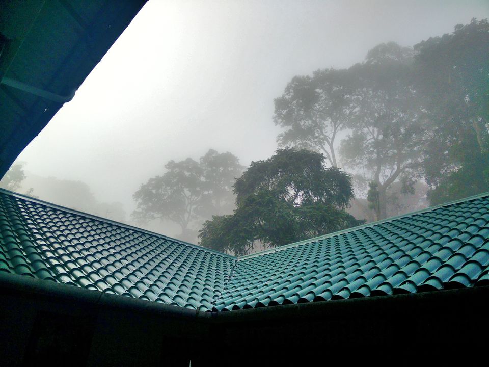 Photo of Munnar: A hidden Gem in Western Ghats 5/10 by atravelbuff