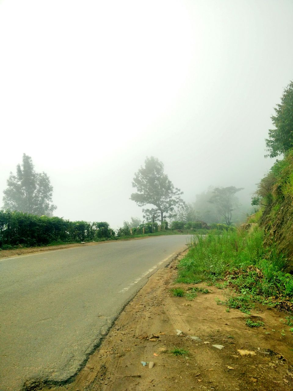 Photo of Munnar: A hidden Gem in Western Ghats 7/10 by atravelbuff