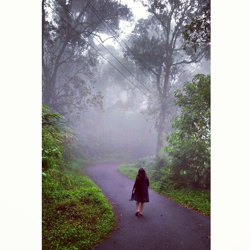 Photo of Munnar: A hidden Gem in Western Ghats 10/10 by atravelbuff