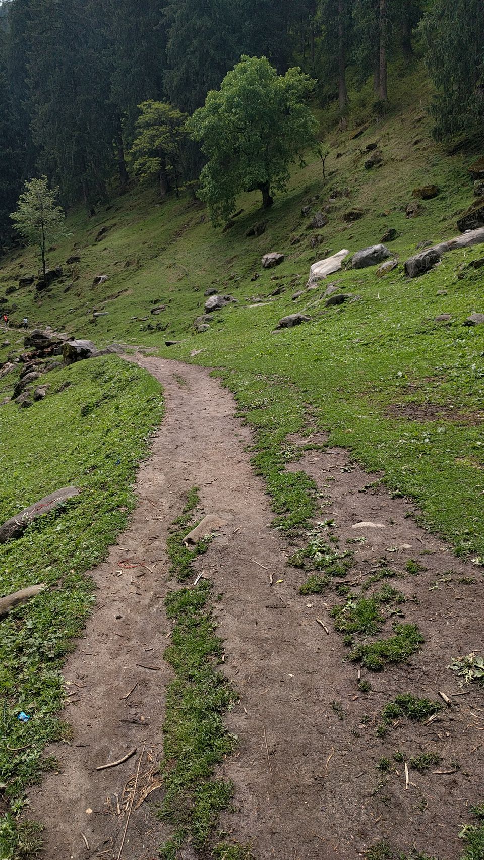 Photo of MY FIRST TREK | KHEERGANGA 1/2 by Akash Arora