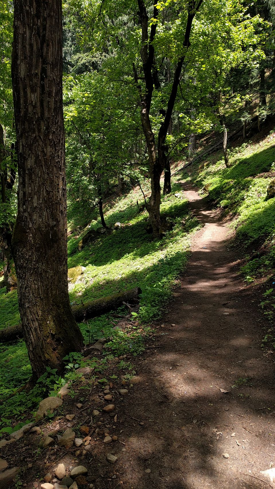 Photo of MY FIRST TREK | KHEERGANGA by Akash Arora