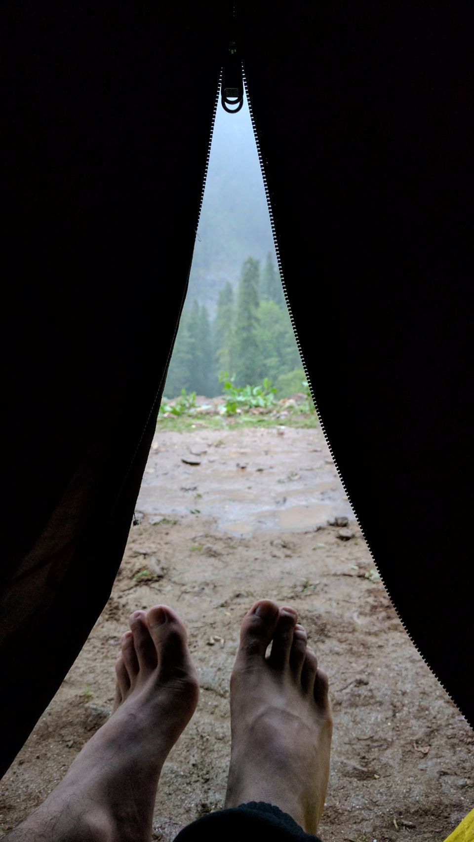 Photo of MY FIRST TREK | KHEERGANGA by Akash Arora