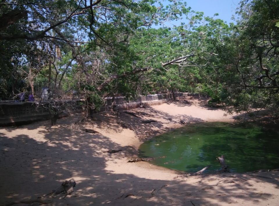 Photo of The Madras Crocodile Bank Trust and Centre for Herpetology, Semencheri, Tamil Nadu, India by Akash Arora
