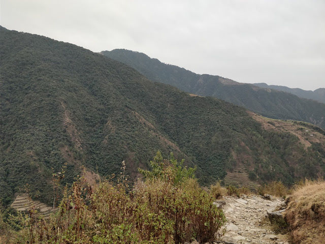 Photo of Nag Tibba | The toughest one by Akash Arora