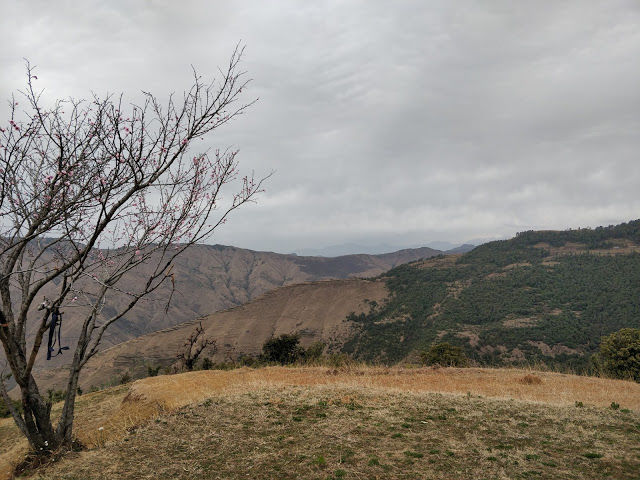 Photo of Nag Tibba | The toughest one by Akash Arora