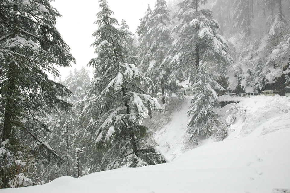 Photo of Kufri, Himachal Pradesh, India by Pragmatic Traveller