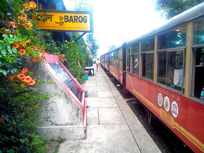 Photo of Barog, Himachal Pradesh, India by Pragmatic Traveller