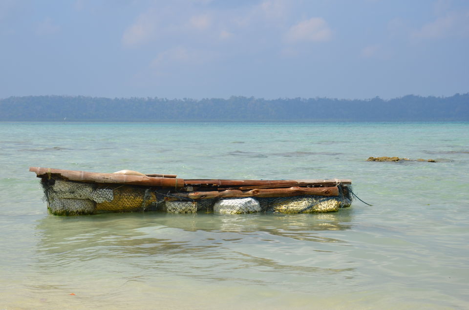 Photo of A Complete Guide to Andaman & Nicobar Islands 1/5 by Pragmatic Traveller