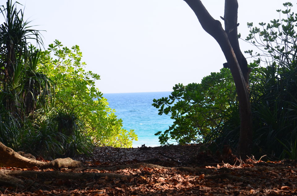 Photo of A Complete Guide to Andaman & Nicobar Islands 5/5 by Pragmatic Traveller