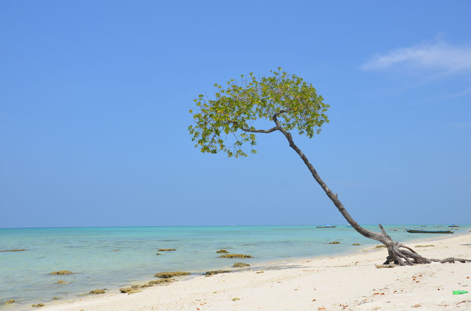 Photo of A Complete Guide to Andaman & Nicobar Islands by Pragmatic Traveller
